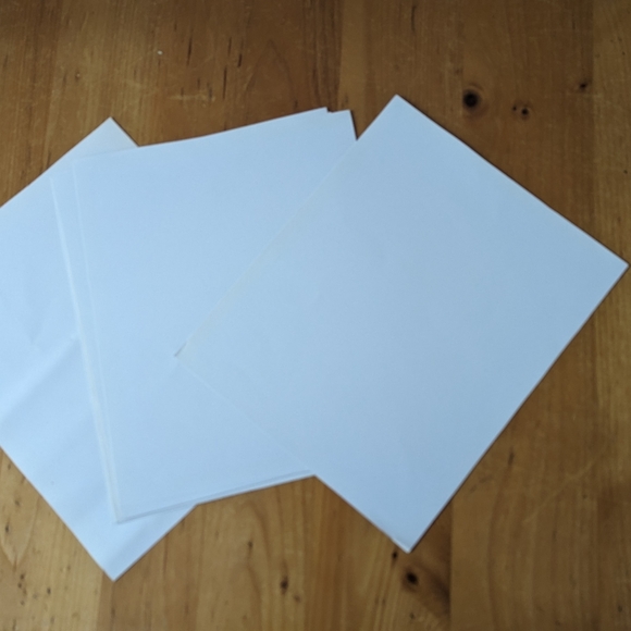 Lot of 6 Naturalist Zoology Vintage Illustrations Australian Wildlife - Picture 8 of 8